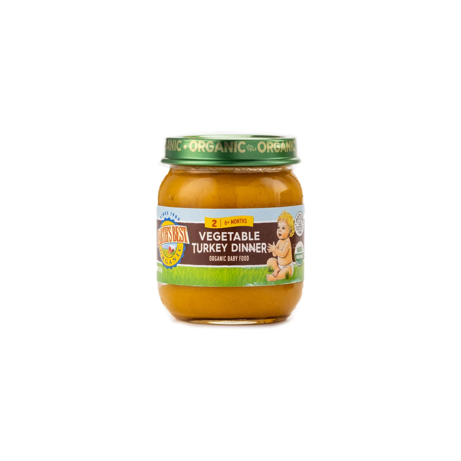 Earth's Best Organic Vegetable Turkey Dinner Stage 2 113g
